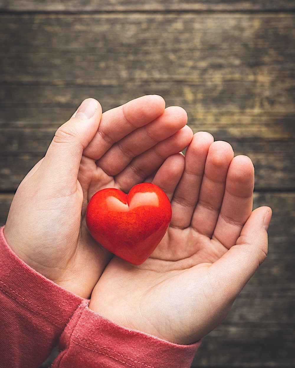 https://web.appdigital.de/wp-content/uploads/2023/09/child-hold-a-red-heart-in-their-hands-2021-08-27-09-29-45-utc.jpg